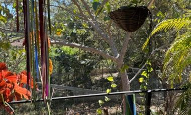 Casa Carmen, El Tuito, Sierra Madre Jalisco