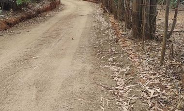 Parcela en venta en PICHILEMU