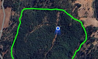 Parcela en venta en PICHILEMU