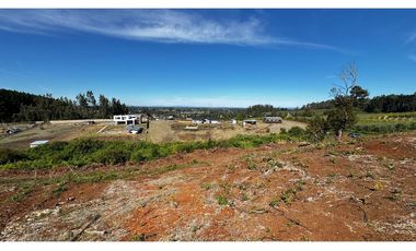 Parcela Condominio Los Leones Botrolhue