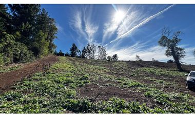 Parcela Condominio Los Leones Botrolhue