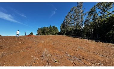 Parcela Condominio Los Leones Botrolhue