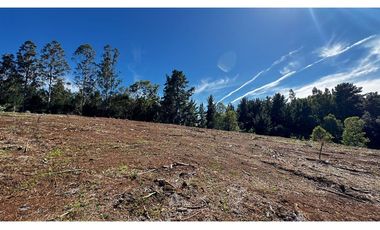 Parcela Condominio Los Leones Botrolhue