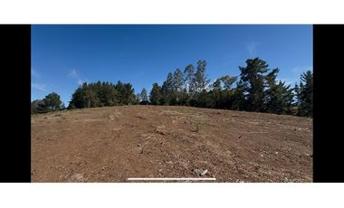 Parcela Condominio Los Leones Botrolhue