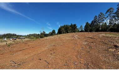 Parcela Condominio Los Leones Botrolhue