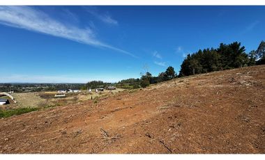 Parcela Condominio Los Leones Botrolhue