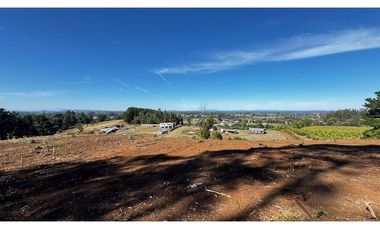 Parcela Condominio Los Leones Botrolhue