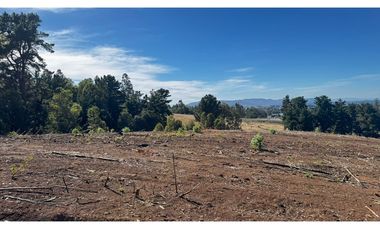 Parcela Condominio Los Leones Botrolhue