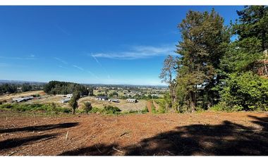 Parcela Condominio Los Leones Botrolhue