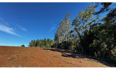 Parcela Condominio Los Leones Botrolhue