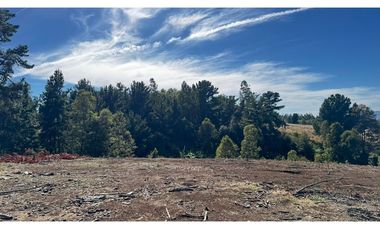 Parcela Condominio Los Leones Botrolhue