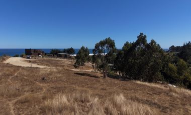 Terreno 5000 m² ubicación privilegiada Pichilemu
