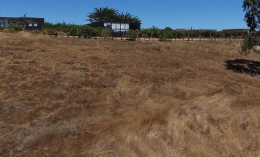 Terreno 5000 m² ubicación privilegiada Pichilemu