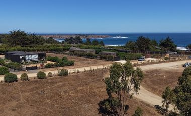Terreno 5000 m² ubicación privilegiada Pichilemu