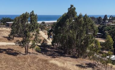 Terreno 5000 m² ubicación privilegiada Pichilemu