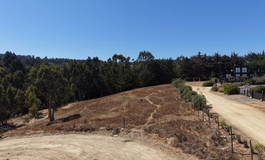 Terreno 5000 m² ubicación privilegiada Pichilemu