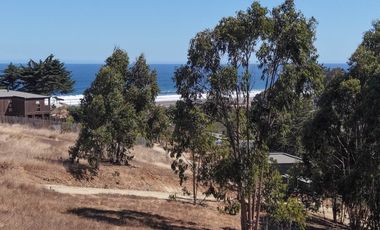 Terreno 5000 m² ubicación privilegiada Pichilemu