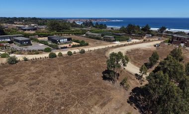 Terreno 5000 m² ubicación privilegiada Pichilemu