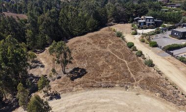 Terreno 5000 m² ubicación privilegiada Pichilemu