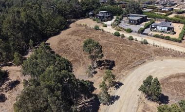 Terreno 5000 m² ubicación privilegiada Pichilemu