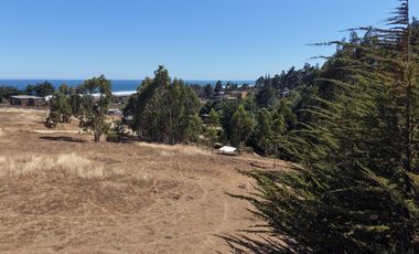 Terreno 5000 m² ubicación privilegiada Pichilemu