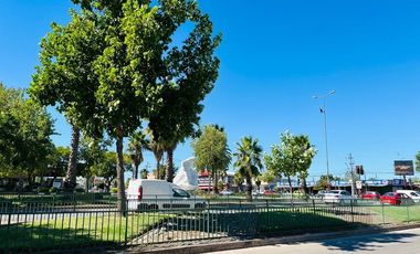 Alameda × 11 Oriente