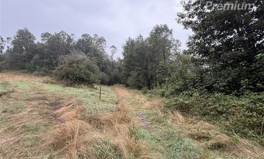 Parcela en Venta en Entre Pasaje Porvenir y Ruta S-95-T, Sector Cruz Blanca