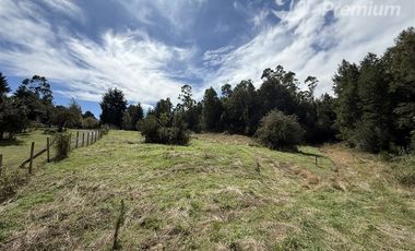 Parcela en Venta en Entre Pasaje Porvenir y Ruta S-95-T, Sector Cruz Blanca
