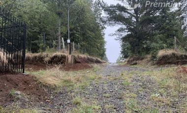 Parcela en Venta en Entre Pasaje Porvenir y Ruta S-95-T, Sector Cruz Blanca