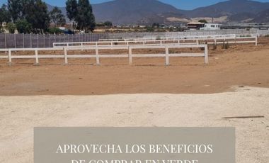 LA PUNTILLA, LA HERRADURA