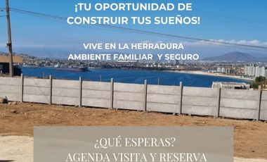 LA PUNTILLA, LA HERRADURA