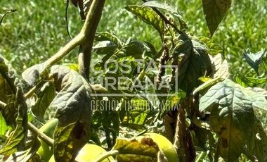 Casa en condominio en Mantagua