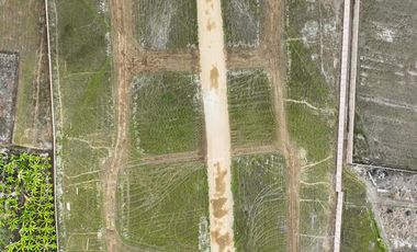 Tu Espacio Ideal Para Conectar Con La Naturaleza Y El Confort