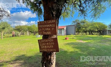 Complejo de cabañas a la venta en Cortaderas San Luis