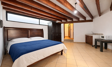 Estudio amueblado en RENTA en Los Filtros de Valenciana,