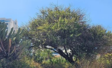 OPORTUNIDAD!!! TERRENO EN VENTA EN BALCONES JURIQUILLA, VISTA AL LAGO.