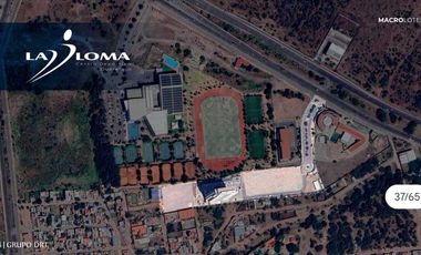 Macrolotes en La Loma