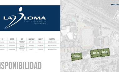 Macrolotes en La Loma