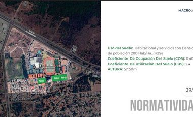 Macrolotes en La Loma