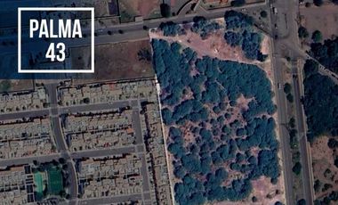 Macrolote en el Salitre, Palma 43