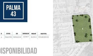 Macrolote en el Salitre, Palma 43