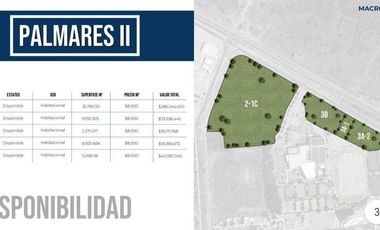 Macrolote en Palmares II, El Salitre