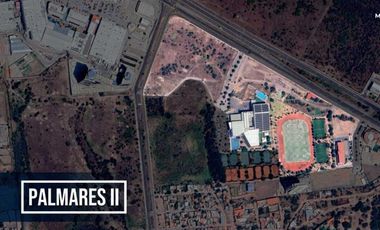 Macrolote en Palmares II, El Salitre