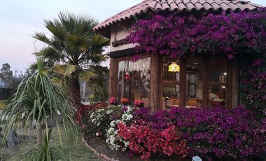Quinta y hotel con casa principal con 4 cabañas muy cerca de la ciudad! Queretar