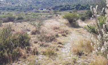 Terreno venta uso mixto en santa rosa jauregui, camino a ex hacienda montenegro
