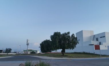 TERRENO EN VENTA EN REAL DE JURIQUILLA