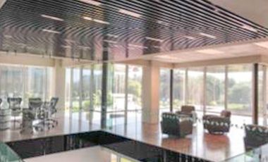 Oficina acondicionada en renta 301m2 edificio zona Campestre SPGG