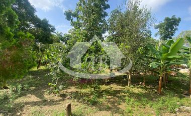 CASA FINCA EN VENTA VIA AL FARO|9511