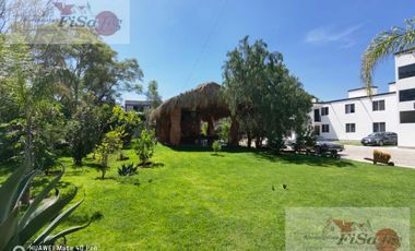 Departamento - Centro