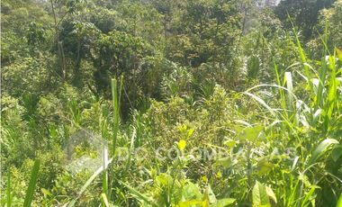 VENTA DE LOTE EN SABANETA - ANTIOQUIA